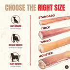 6 Inch Monster Bully Stick