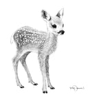Baby Deer - Print