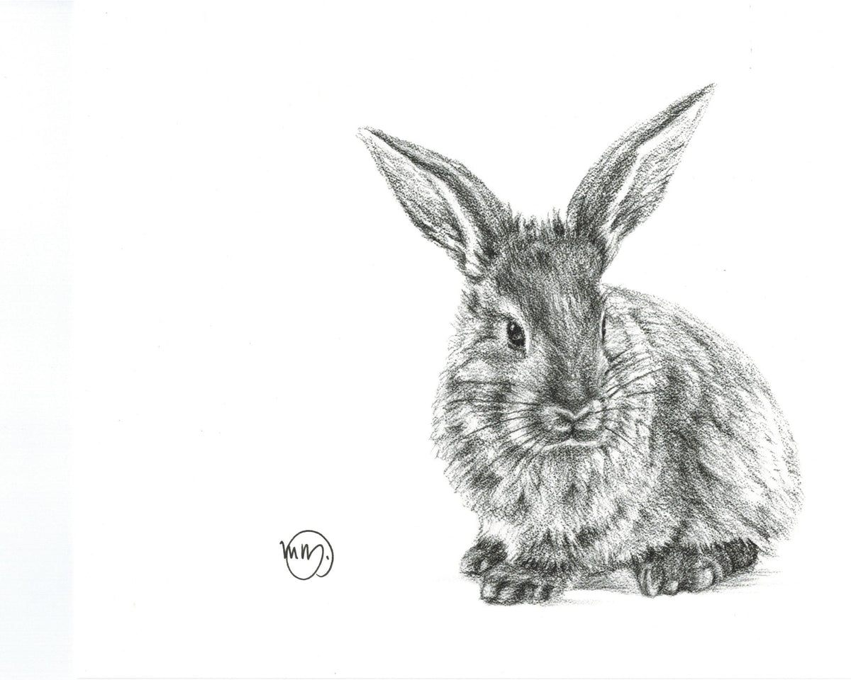 Rabbit -  Greeting Card
