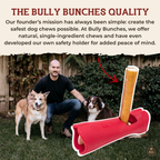 6 Inch Standard Bully Stick