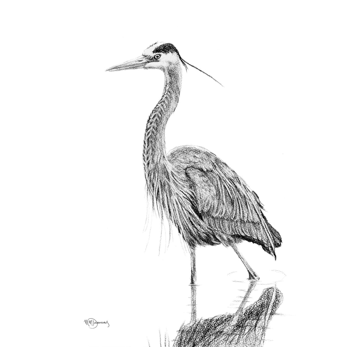 Heron NO 2 - Black and white - Print