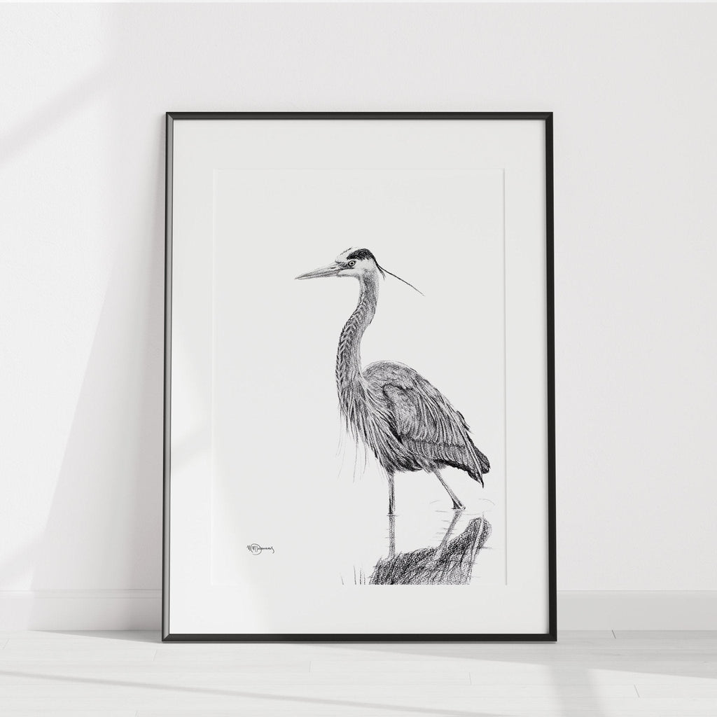 Heron NO 2 - Black and white - Print