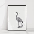 Heron NO 2 - Black and white - Print