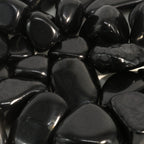 Shungite Tumbled Stones
