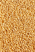 Large Gold Pearls 4mm