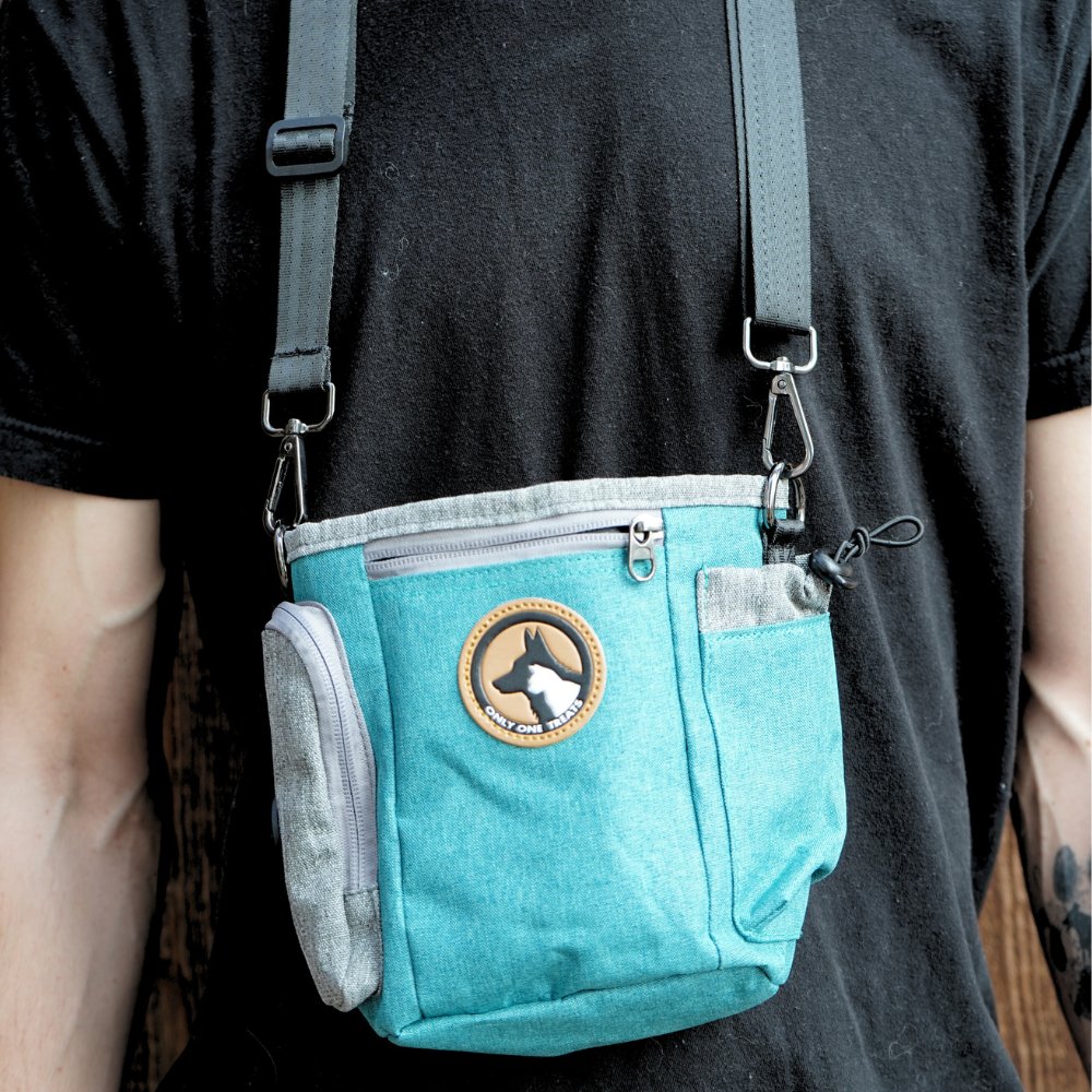 Large Treat Pouch - Teal