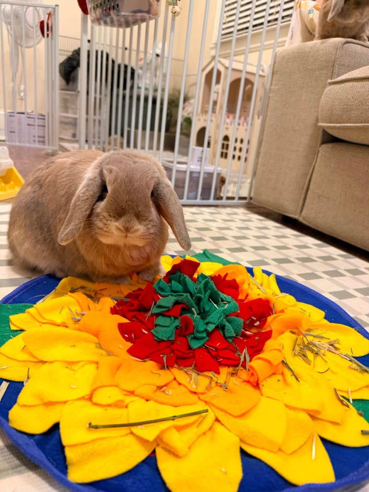 Sunflowerz Snuffle Mat—Soft & Washable- For Dogs, Cats & Rabbits