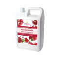 Pomegranate | Multi-Use Premium Fruit Syrups | Bubble Tea Syrup | Fruit Puree | Fruit Smoothie | Fruit Slush Mix | Ships Free Within Canada on Orders Above CAD $199