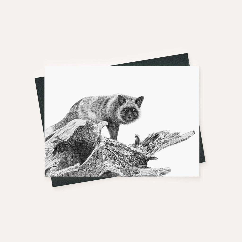 Silver fox - Greeting Card