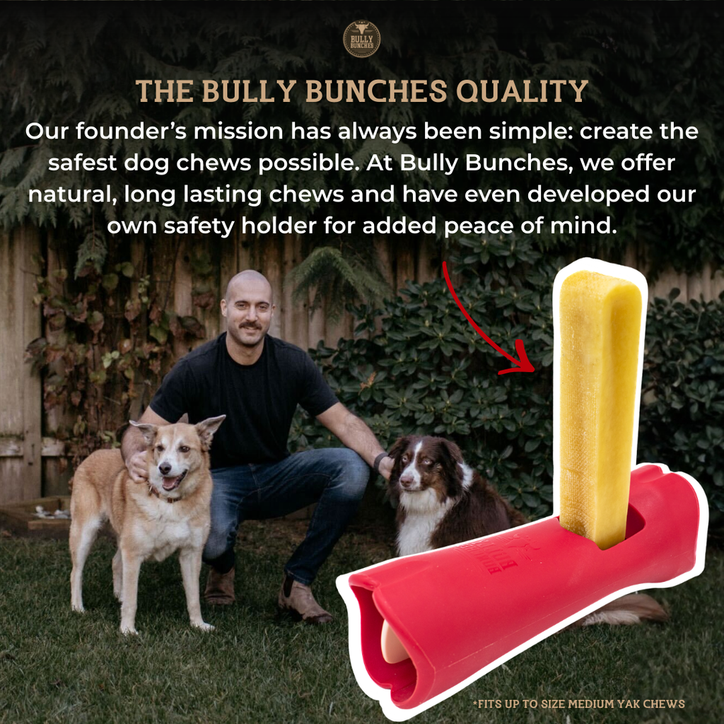 Himalayan Yak Chew (MEDIUM)