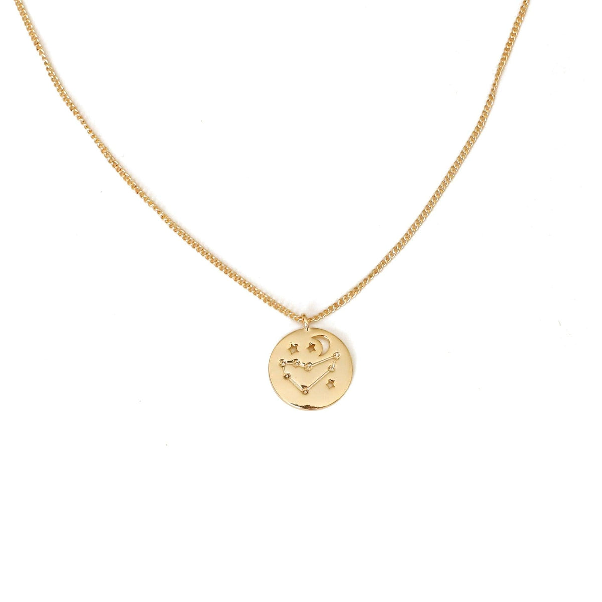 [Sample Sale] Zodiac Coin Necklace
