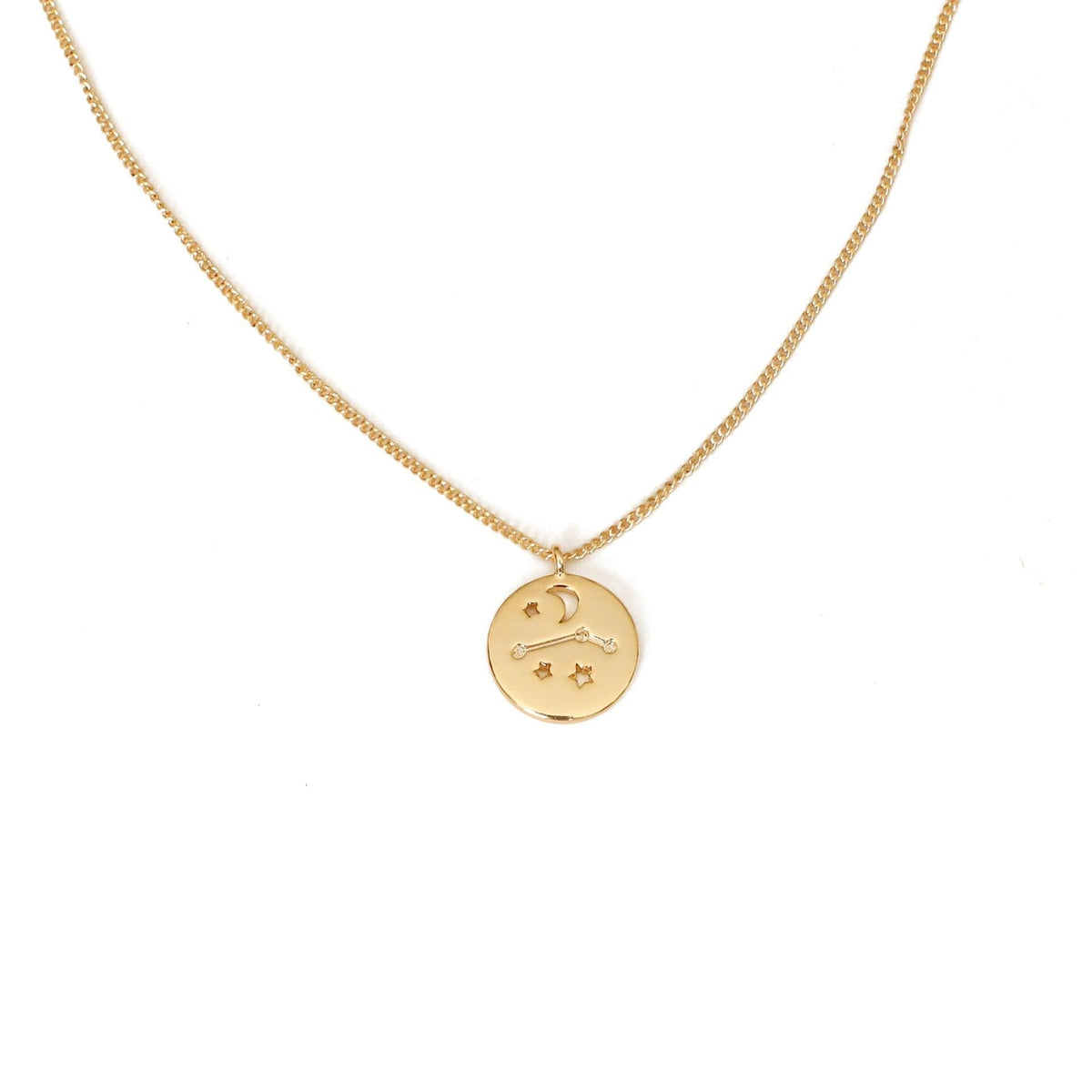 [Sample Sale] Zodiac Coin Necklace